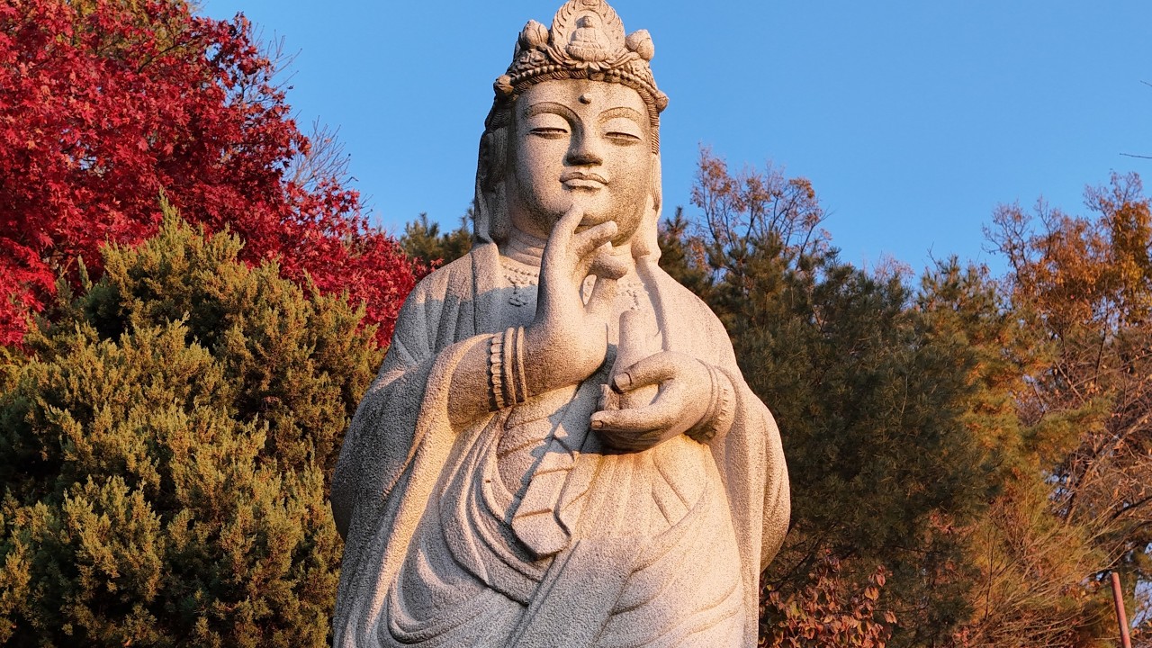 천년고찰 서방정토 백련사의 가을