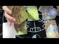 三浦春馬くんのお母さんってどんな人?