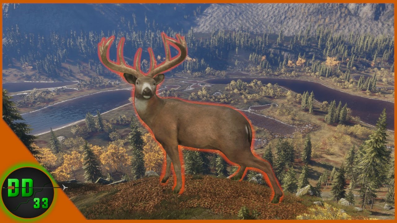 Returning To Our Whitetail Spot! Call Of The Wild YouTube