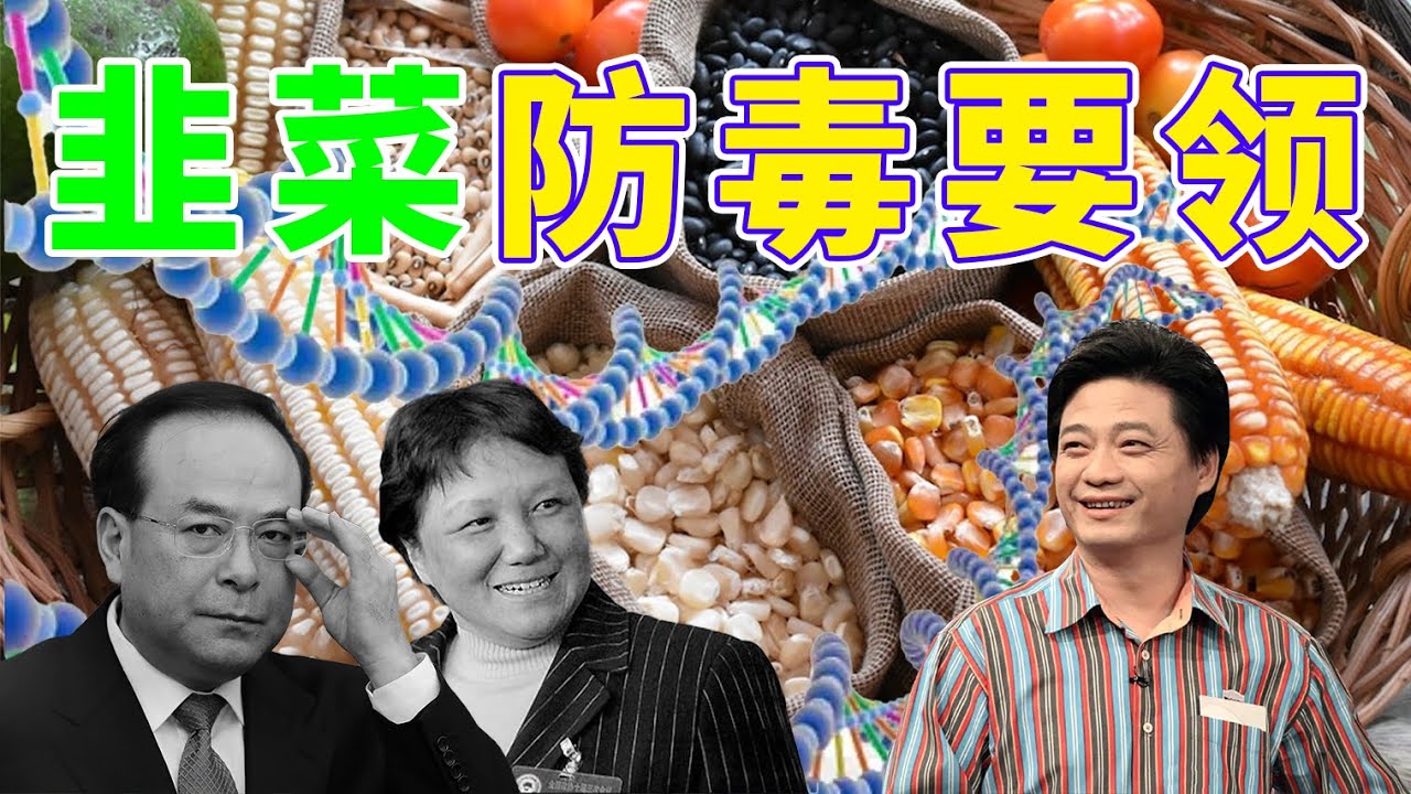 蔡霞這個反習招數太狠了！美國反共需提高反共層級，中國民主派應鼓勵體制內反習勢力（一平快評159，2020/9/8）