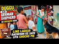 बच्चों के साथ Duggu भी लगा लाइन में 😲 | Choco Pie Time 🍫🐶 #germanshepherd #spfamilyvlog