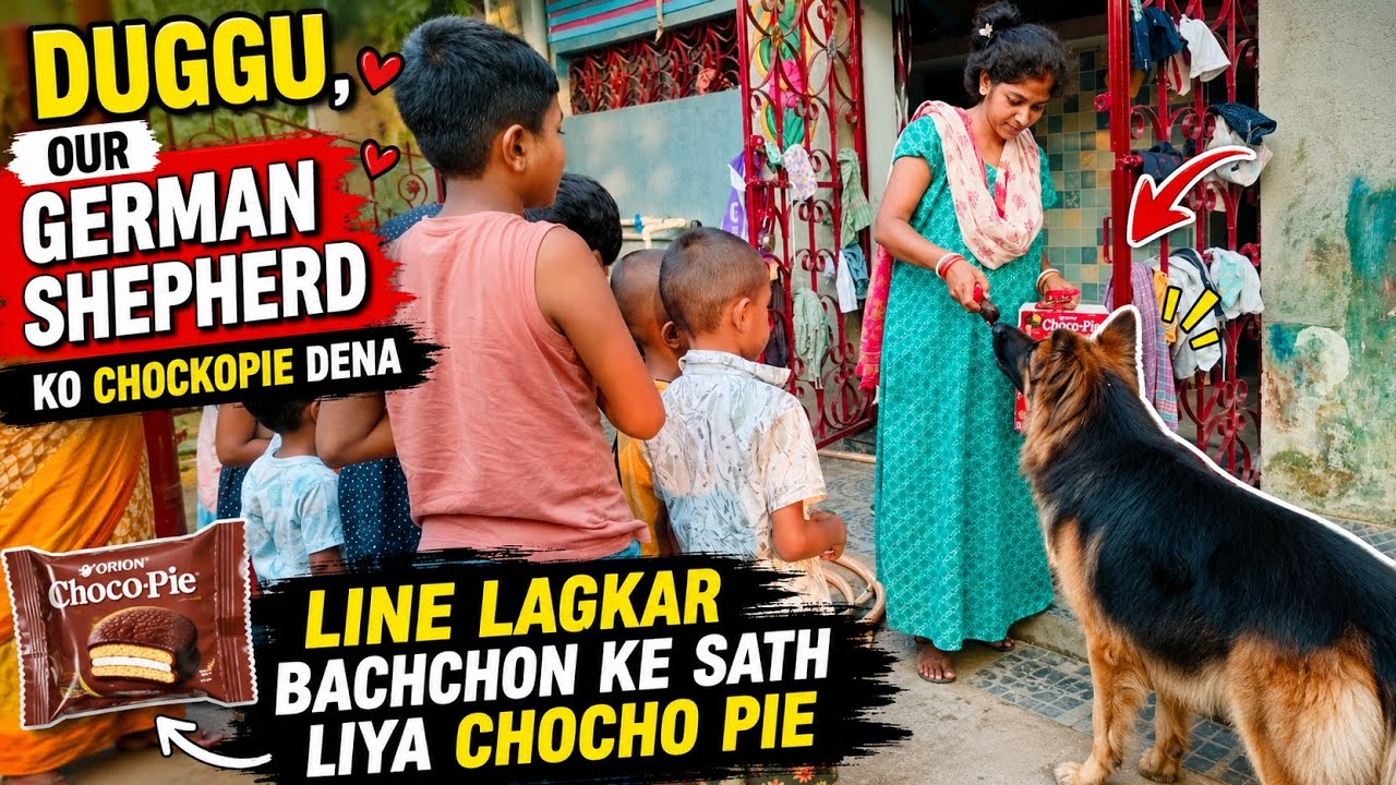 बच्चों के साथ Duggu भी लगा लाइन में 😲 | Choco Pie Time 🍫🐶 #germanshepherd #spfamilyvlog