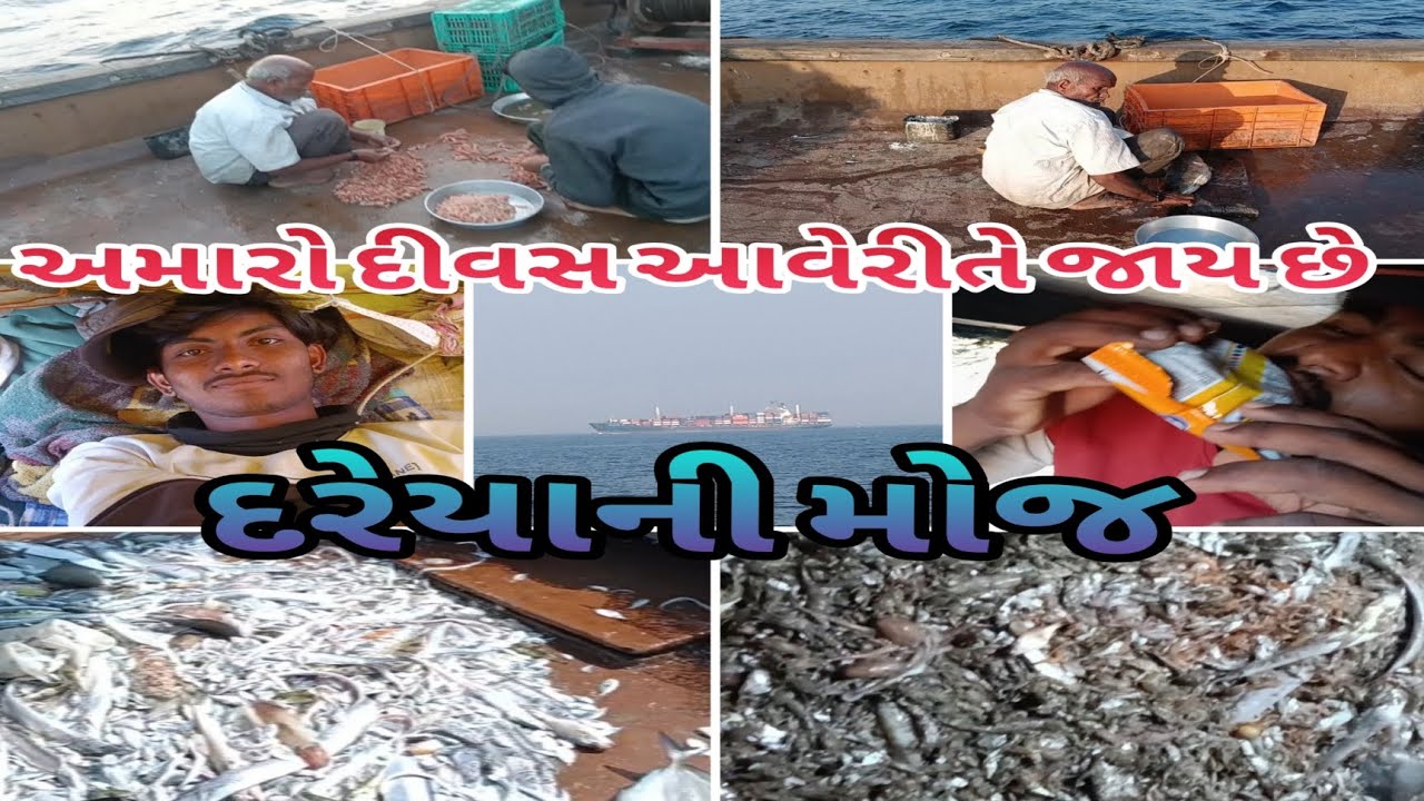 અમારો દીવસ આવેરીતે જાય છે 🤩 દરેયાની મોજ 💬