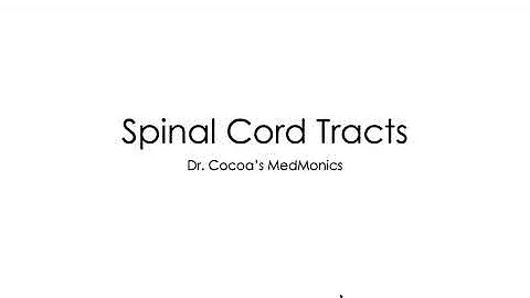Spinal Cord Tracts (DCS)