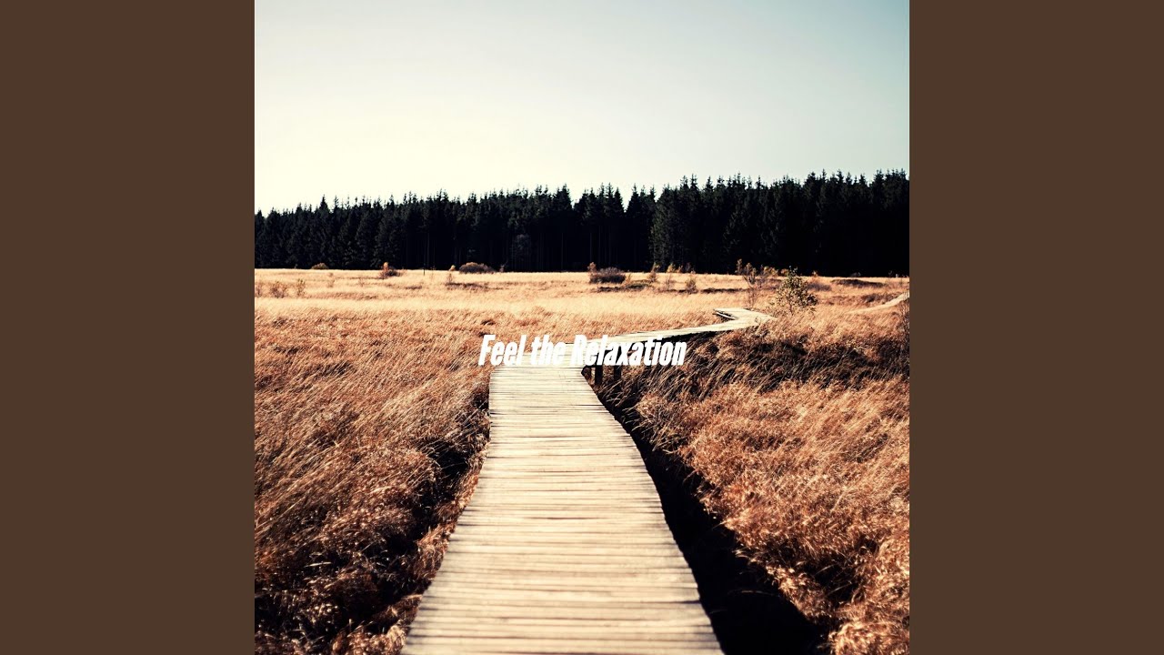 Lovely Movement Moments