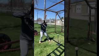 IMG 1031 12