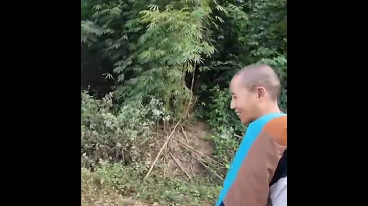 Tại Lào sáng ngày 15 / 12 / 2024 Sư Thích Minh Tuệ bộ hành .