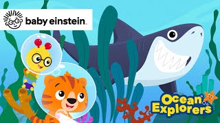 Counting With A Great White Shark New Ocean Explorers Baby Einstein Kids Cartoons & Songs