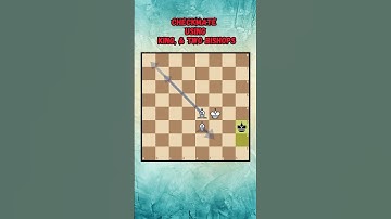 Checkmate using King and Two Bishops| Beginner