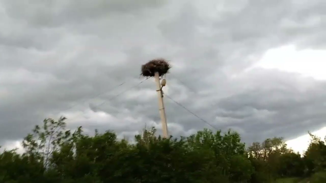 ДОЛГОЖДАННАЯ ГРОЗА В ДЕРЕВНЕ ?? В Домике в Глуши ?? - YouTube