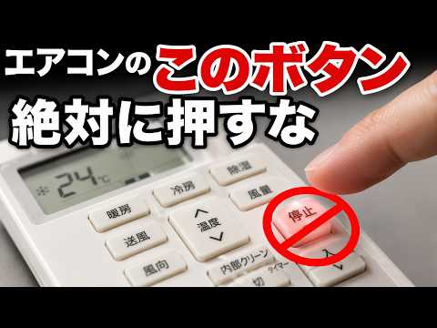 40年実体験でわかった！遮陽樹で家が涼しくなる3つの理由と省エネ効果