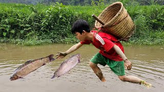 FULL VIDEO 15 day: Bac journey to survive alone: setting traps to catch fish, harvesting vegetables.