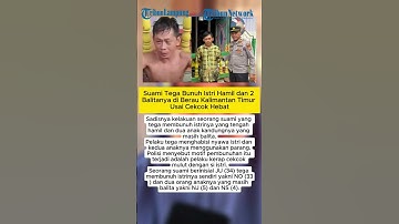 Suami di Kaltim Bunuh Istri Hamil dan 2 Balitanya