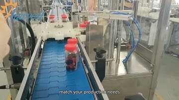 Automatic dual head servo twist off capping machine