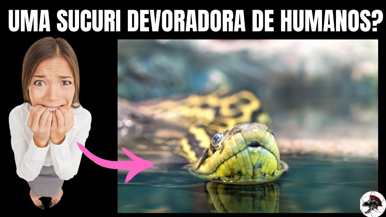 Sucuri Devoradora de Humanos? | Biólogo Henrique o Biólogo das Cobras