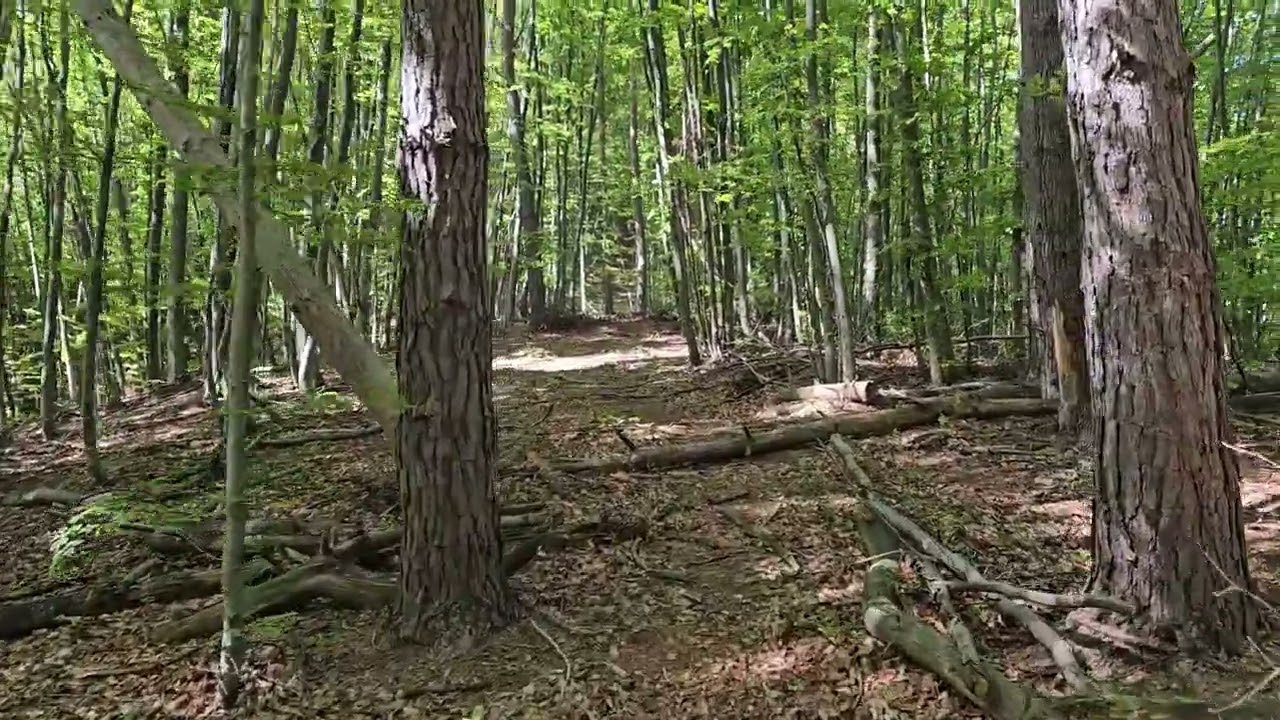 Piatra Cloșani - 1421 m, Parcul Natural Domogled - Valea Cernei