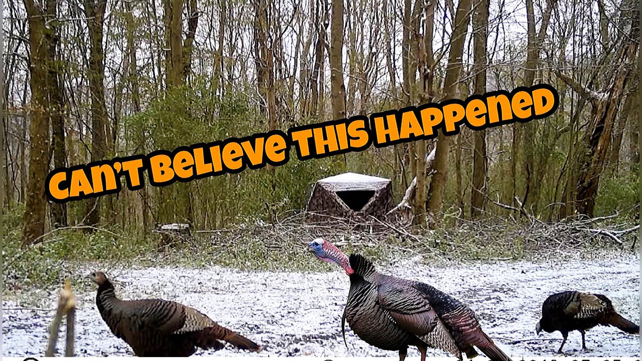 2021 pa spring turkey season YouTube