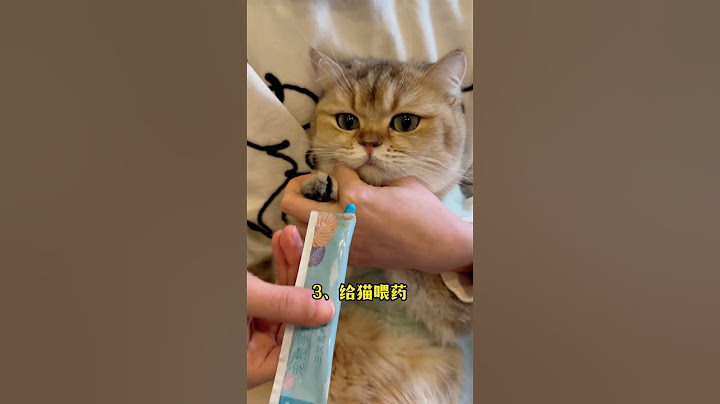 5个超狗但贼靠谱的养猫技巧‼️第3个绝了 #新手养猫 #cat #貓咪 #小猫咪 #养猫攻略 #萌宠 #养猫经验分享 #科学养猫 #养猫小妙招 #养猫技巧 #养猫知识