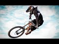 AmazinG Downhill & Freeride LIFESTYLE 2020 #35