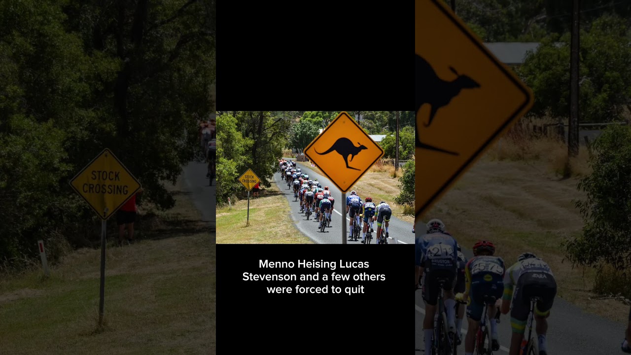 Kangaroos Crash Australian Bike Race! 🦘🚴‍♂️
