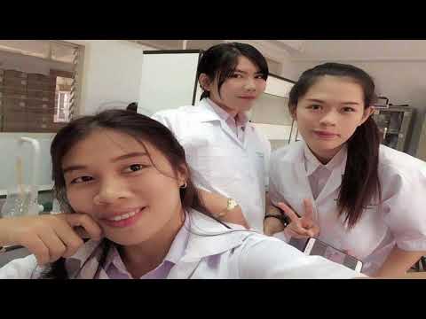 เพลง ฉันก็คง