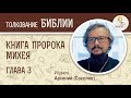 Книга пророка Михея. Глава 3. Игумен Арсений (Соколов). Библия