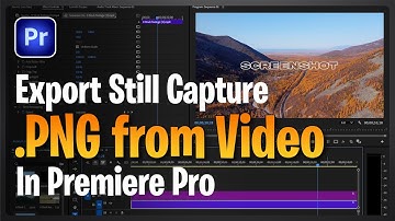 How to Export a Still Image from Video in Premiere Pro 2025