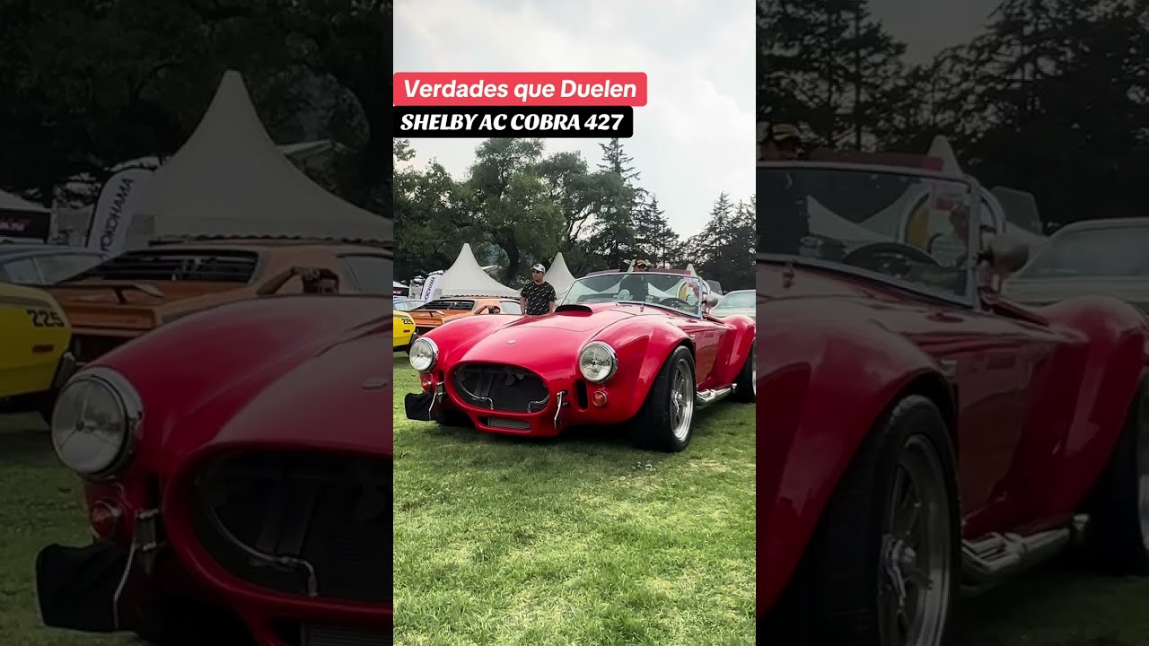 SHELBY AC Cobra 427 ⚠️ Truths that Hurt - YouTube