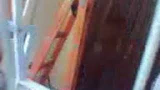 3D Clinostat