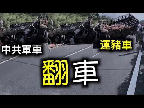 侮辱性极强！中共武统台湾的军车让猪给拱了；中共三段论定调，毛大、邓二、习三……