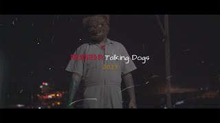 Talking Dogs - ညတစ်ည (Music Video Teaser)