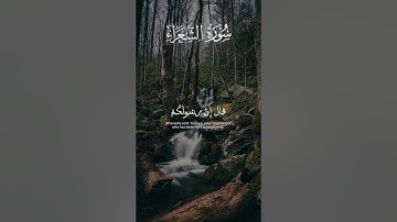 قَالَ فِرْعَوْنُ وَمَا رَبُّ الْعَالَمِينَ | الشيخ أحمد غريب | سورة الشعراء