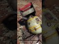 Fallout 76 undetonated nuke encounter