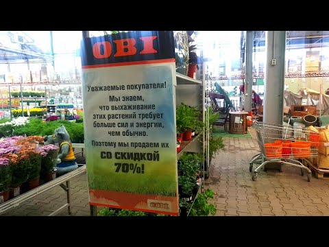 🌿⚘ОБИ🍂🍃Уценка Комнатных Цветов🌱🪴🍁