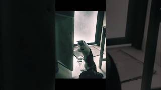 These Cats 🐈 Are On Another Level 😳 |