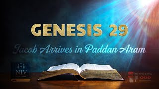 The Book of Genesis | Chapter 29: Jacob Arrives in Paddan Aram | NIV Audio Bible