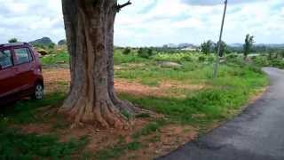 VID_20150608_105955.mp4
