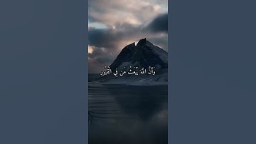 تريح القلب والروح | تلاوة خاشعة من روائع تلاوات القارئ أحمد _حاج_ نجيب ❤️