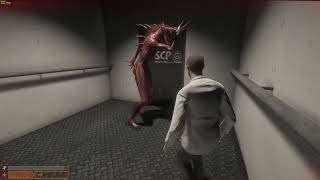 The Incident