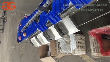 Automatic Peach Sorting Machine with High Efficiency