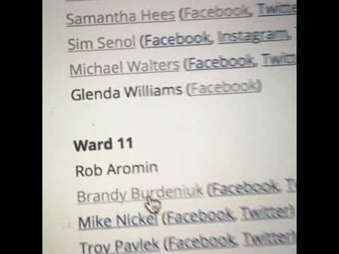 2017 Edmonton election ward 11 candidates