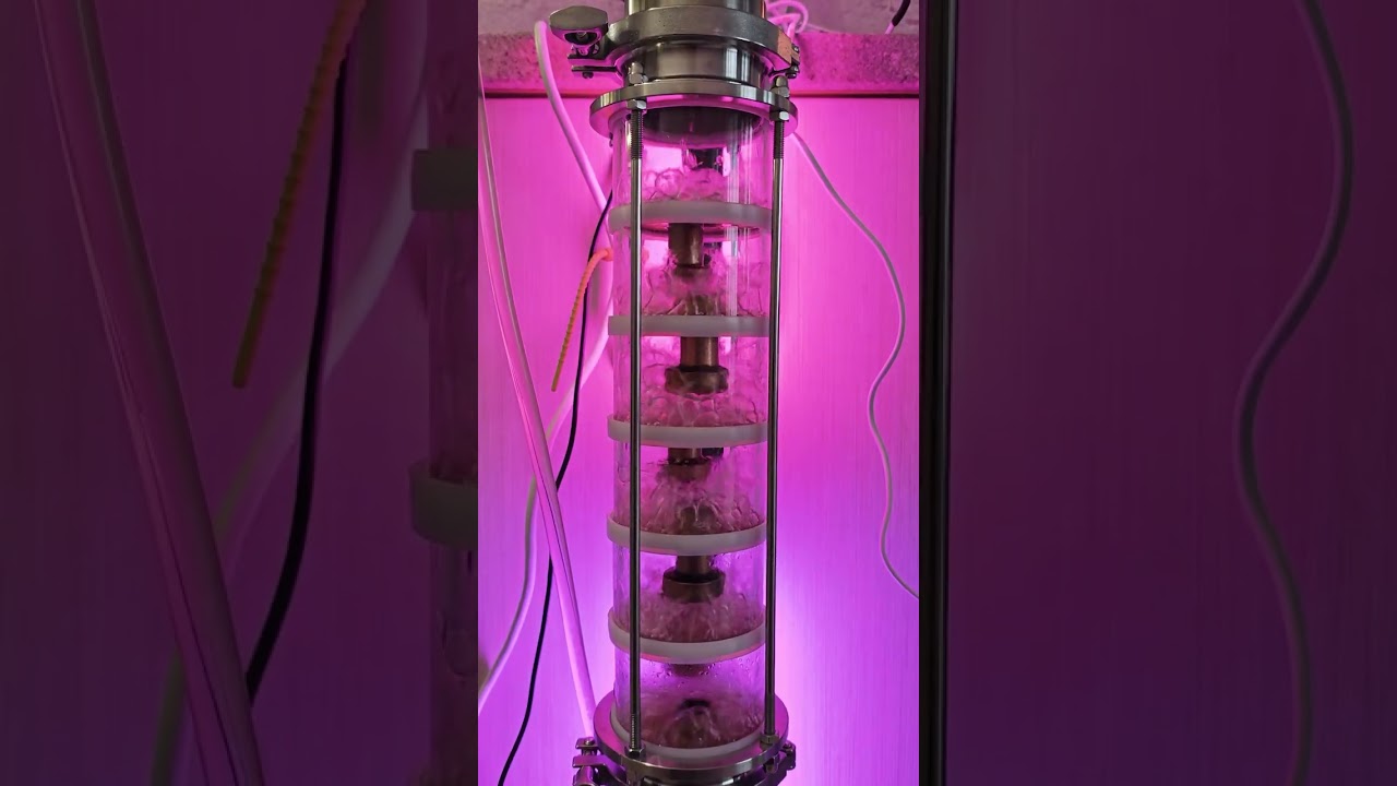 R&B Гимн Самагонщика#самогонныймагазин #самогонщик