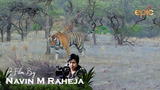 A Corridor For Tiger - A film by Navin M Raheja