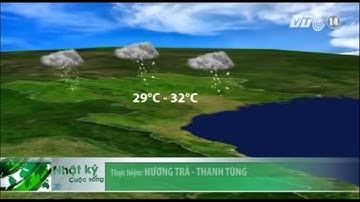 VTC14_Nắng nóng sắp chấm dứt nhờ mưa dông