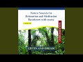 Nature Sounds for Relaxation and Meditation Rainforest With Music - Sounds of Jungle