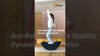 FITONIT 19 Core Balance Level2 Exercises #workout #gym #homegym #personaltraining #longevity #physio