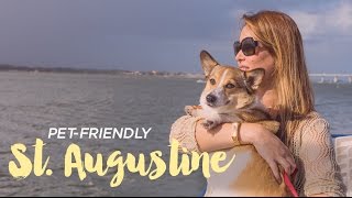 Pet Friendly St. Augustine Florida