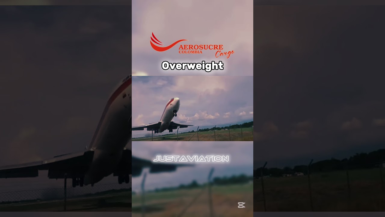 Meet airlines around the world 