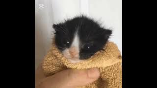 MDK - Hellfire   Dash (Official theme song) | MU_Artist