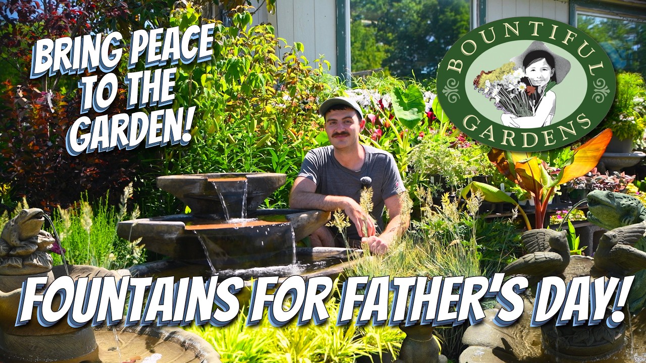 We're OverFLOWING with Fountains for Father's Day! - Bring Peace to the Garden!